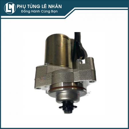 Củ đề Dream dài